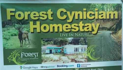 Ohiya House | Forest Cyniciam Homestay: Family-Friendly Retreat Rated 9.6