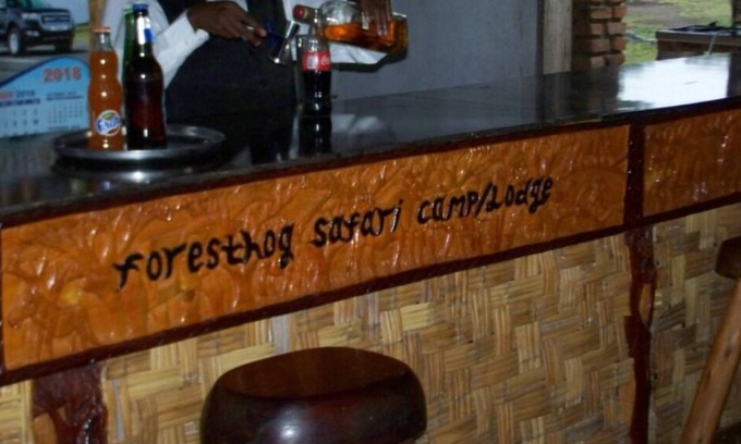 Kasese Cabin | Experience Nature at Forest Hog Safari Lodge with Family-Friendly Amenities