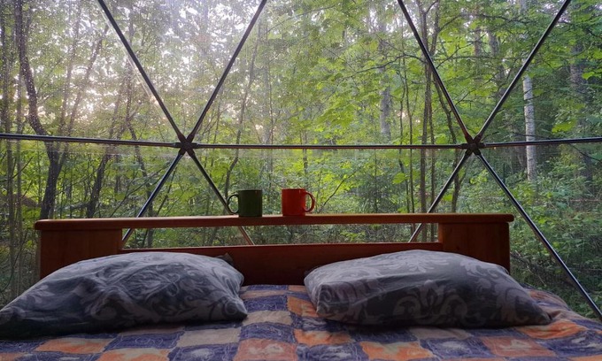 Bigaunciems House | Forest Hut: Oceanfront Retreat with Pet-Friendly Amenities