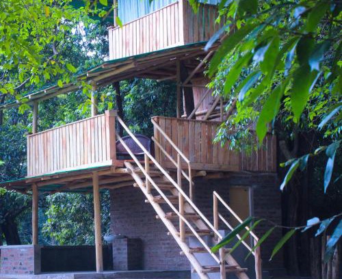 Buttala House | Pet-Friendly Forest Tree Top Holiday Resort with Ocean Views