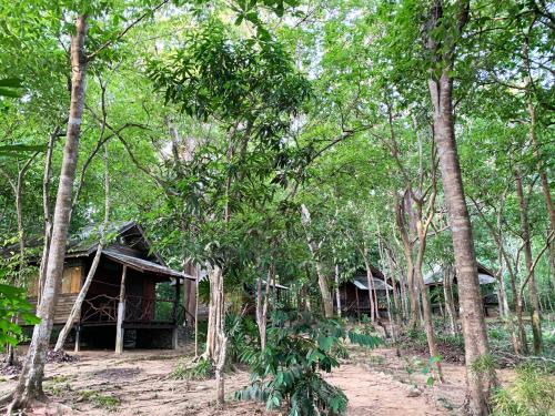 Nuea Khlong House | Cozy Foresta Cottage Room in Bungalow, Child-Friendly Stay