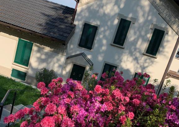 Belgirate Apartment | Discover Foresterie MAGNOLIA: Rated 9/10 by Guests