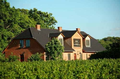 Teterow Apartment | Family-Friendly Forsthof Niendorf: Rated 9/10 with Pets Welcome