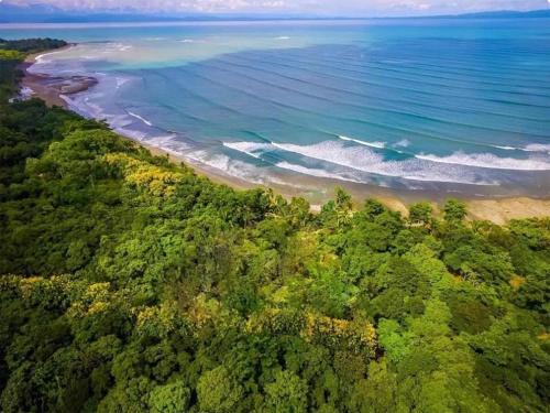 Puerto Jimenez House | Experience Four Monkeys Eco Lodge: Beachfront Bliss Awaits