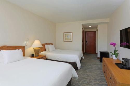 La Caleta Hotel | Enjoy Quality Hotel Real Aeropuerto with Ocean Views
