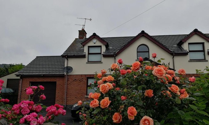 Carrickfergus Bed & Breakfast | Ocean View Retreat at Fox Heaven B&B - Rated 9/10!