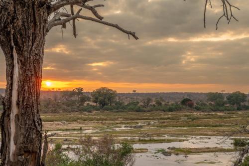 Marloth Park Cabin | Unforgettable Foxy Crocodile Bush Retreat & Kruger Safari