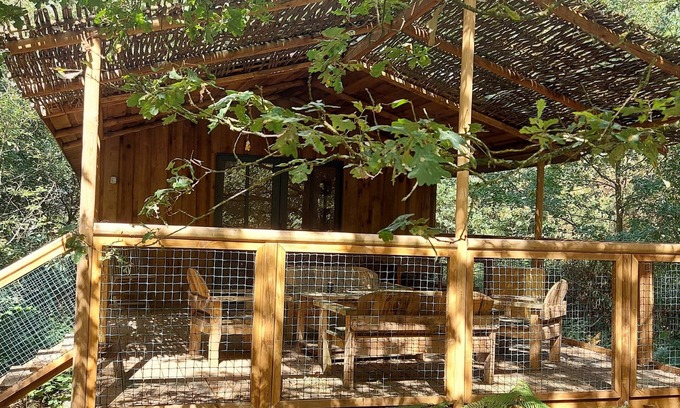 Saint-Pierre-des-Echaubrognes Cabin | Forest Retreat: Cap Town Cabin with Pool and Pet Access
