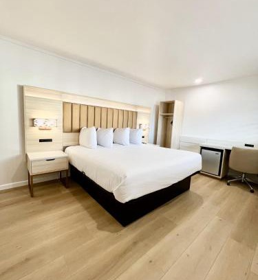 Cow Hollow Hotel | Convenient Francisco Bay Inn - Child Friendly Getaway