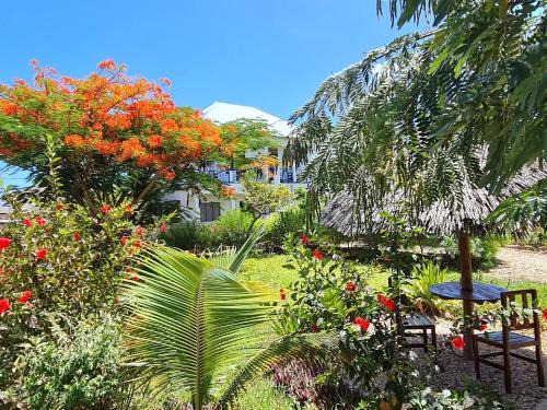 Nungwi House | Pet-Friendly Frangipani House with Private Beach in Nungwi