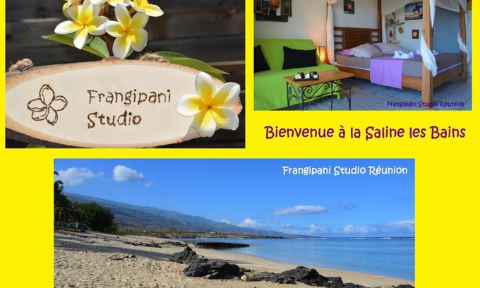St Gilles-les-Bains Apartment | Oceanfront Frangipani Studio: 10/10 Guest Rated Escape