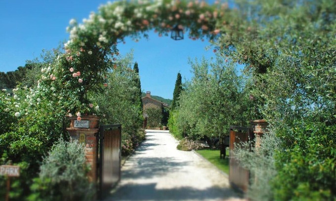 Paciano Other | Relax at Frantoio Home with Pool & Jacuzzi in Fontanaro