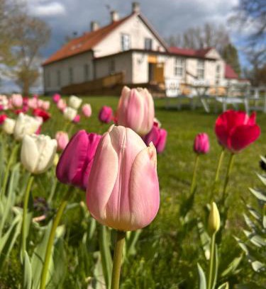 Helsingborg Municipality Bed & Breakfast | Fredriksborg