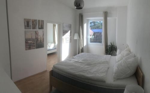 Sankt Georgen Apartment | Freiburg Apartment: Quiet Retreat for Groups and Families