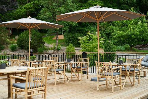 Northeim Hotel | Discover FREIgeist Northeim: Pet-Friendly & Family Welcoming