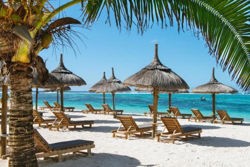 Trou d'Eau Douce Resort | Discover Friday Attitude: Oceanfront Relaxation Awaits
