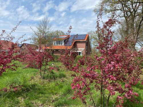 Friedeburg Apartment | Friedeburga: Oceanfront Retreat with 9.6/10 Guest Ratings