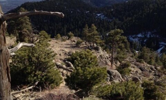 Boulder House | Mountain Getaway with Pet-Friendly Amenities & Top Reviews
