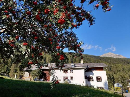 Fuldera Apartment | Cozy Fuldera Daint Chasa: Pet-Friendly Getaway with High Ratings