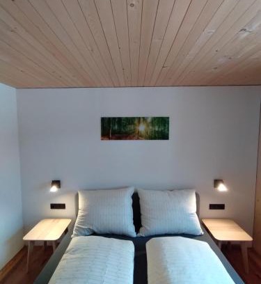 Schoppernau Apartment | Experience Oceanfront Bliss at Fuxrevier - Rated 9/10!