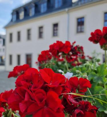Schneeberg House | Guest Rated Pension Rio: Family-Friendly with Breakfast