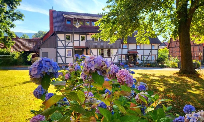Hemeln Apartment | Discover Gästehaus am Weser-Radweg: Family-Friendly Retreat