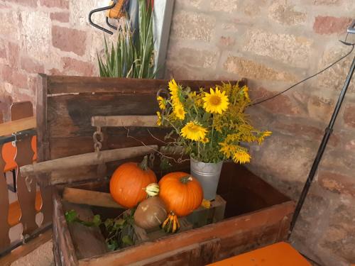 Karbach House | Pet-Friendly Gästehaus Engelhard with Family Amenities