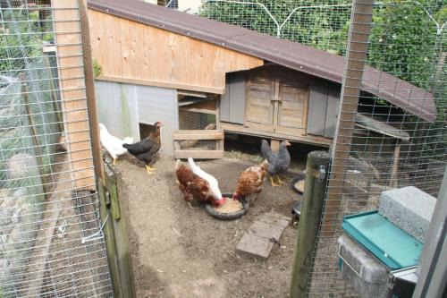 Rust Apartment | Cozy Gästehaus Schwien: Pet & Child Friendly Retreat
