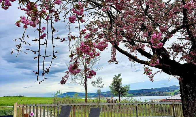 Seekirchen Markt Apartment | Seeblick Guesthouse: Bright Garden Apartment with Views
