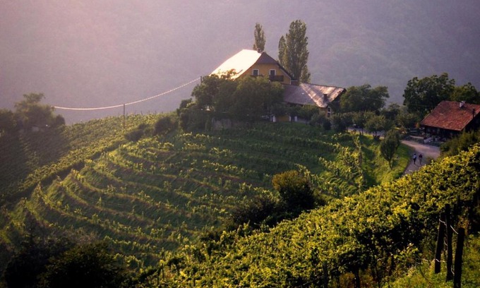 Kitzeck im Sausal Bed & Breakfast | Pet-Friendly Gästehaus-Temmel-Kitzeck with Kitchen Access