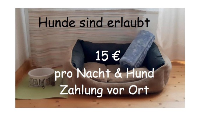 Extertal Apartment | Pet-Friendly Gästezimmer im Freudenthal with Breakfast & Dining