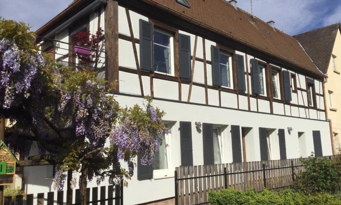 Ingersheim Apartment | Cozy Gîte côté jardin - Pet and Child Friendly Retreat