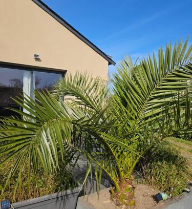 Theix-Noyalo House | Gîte Camaloth - Family-Friendly Retreat with Ocean Views