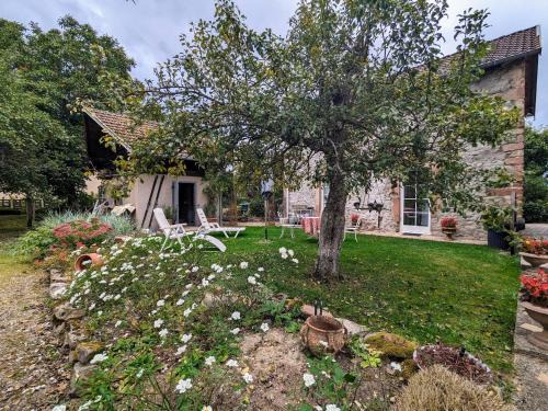 Saulcy-sur-Meurthe House | Charming Gîte avec sauna privé et randonnées à proximité