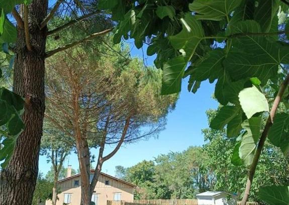 Touget House | Pet-Friendly Gîte d'En Lébé with Pool and Child Amenities