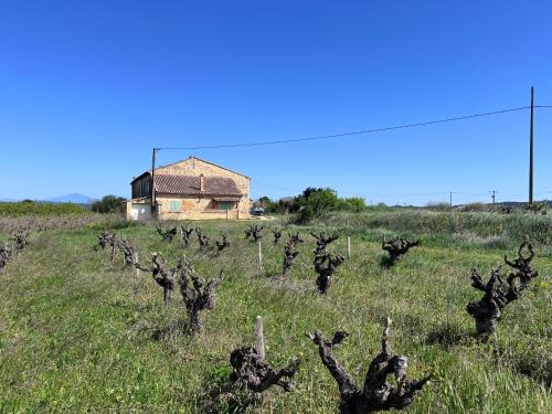 Pont-Saint-Esprit House | Gîte d'ysée: A Vineyard Retreat with Family-Friendly Perks
