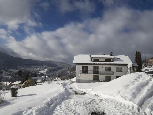 Saint-Maurice-sur-Moselle Apartment | Family Retreat in the Vosges with Pool and Ocean Views