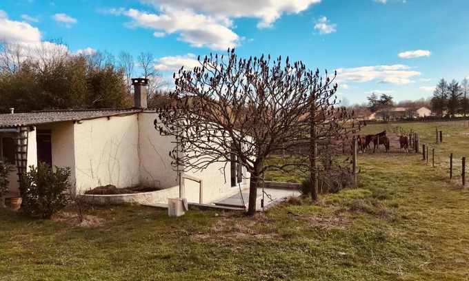 Eygurande-et-Gardedeuil Apartment | Pet-Friendly Gîte de l’écuyer with Breakfast & Dining Options