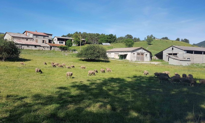Rosans Other | Top-Rated Gîte des Millets - Pool & Spa in Rosans