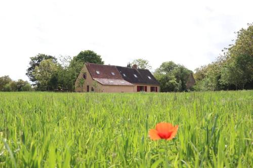 Lacs House | Gîte des Retrouvailles: Family & Pet Friendly Retreat