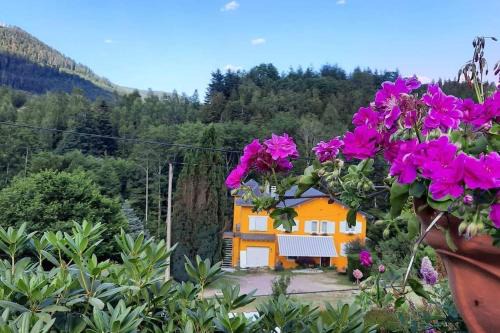 Raon-sur-Plaine Apartment | Forest Retreat: Gîte du Moulin - Pet Friendly, Ocean View