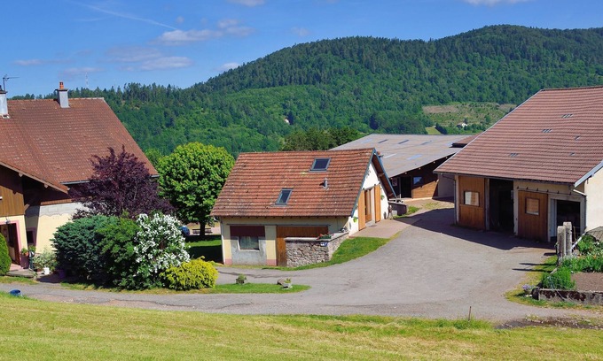 Saint-Maurice-sur-Moselle Apartment | Gîte Dans Ferme Équestre: Pet-Friendly Retreat with Pool
