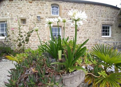 Fontenay-sur-Mer House | Charming Gîte La Bourgetterie with Oceanfront Views