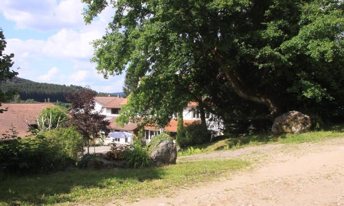 Ban-sur-Meurthe-Clefcy House | Gîte Le Tyrol: Family-Friendly Retreat with Pet Access