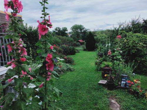 Bining House | Gîte LES PAPILLONS: Family & Pet-Friendly Retreat