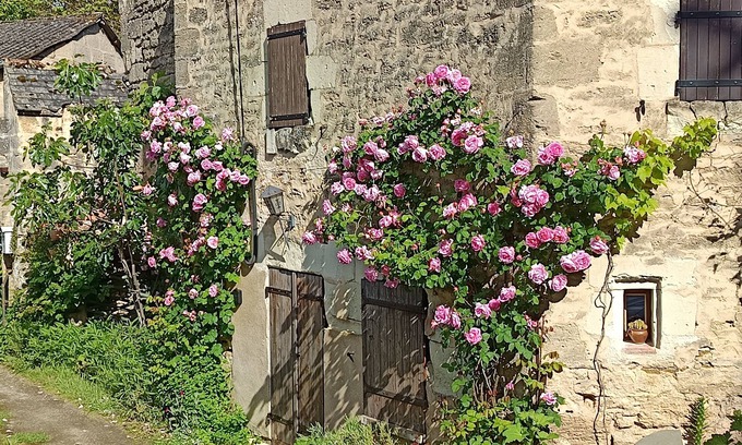 Doue-la-Fontaine House | Cozy Gîte les Trois Grandes Portes: Ideal for Families