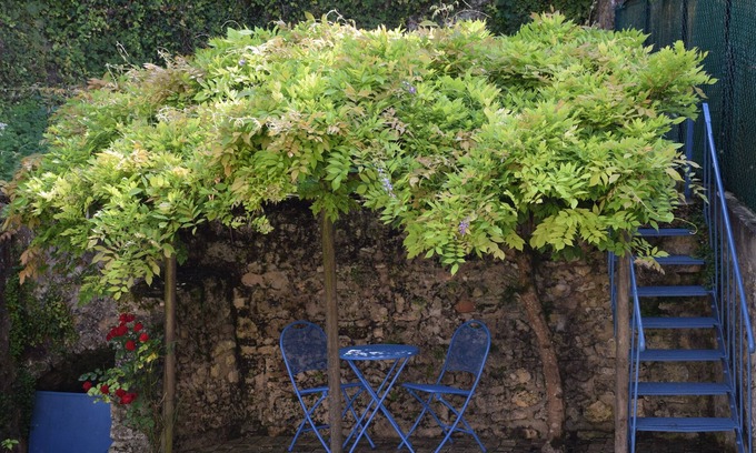 Provins House | Guest Rated 10/10: Gîte Les Volets Bleus with Kitchen Access