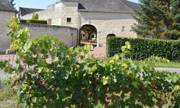 Ligre House | Gîte Ligré: Spacious 8-Room Retreat for Families & Pets