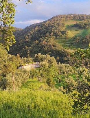 Bouchfaa House | Guest Rated 9.3: Stay at دار الضيافة تازكة Maison d'hôtes