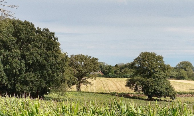 Preveranges Cottage | Gîte Traitsanes en Berry Centre - Val de Loire